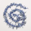 خرزات الكيانيت حجر طبيعي شظايا "إبرة" على نيتي, قطر 28×2-10×2مم±, طول 40سم± مع خرز, قطر 3مم
